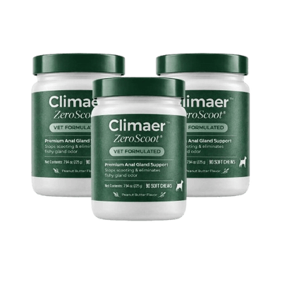 Climaer ZeroScoot