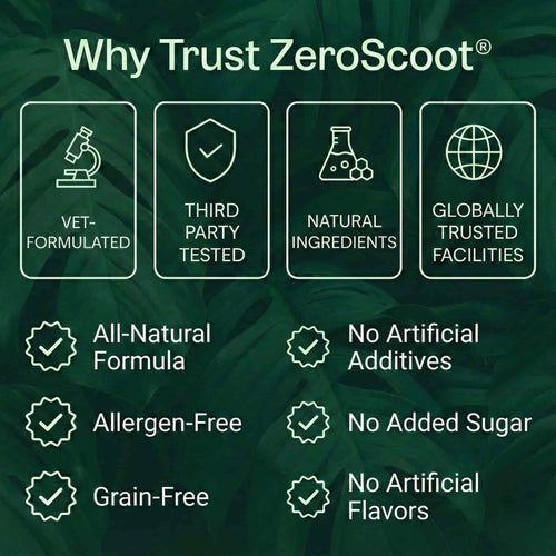 Climaer ZeroScoot